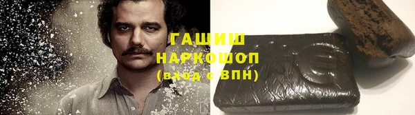 гидра Володарск