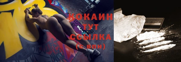 гидра Володарск