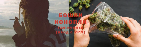 гидра Володарск