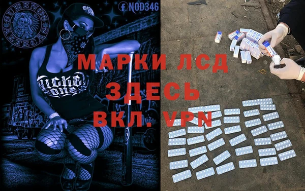 гидра Володарск