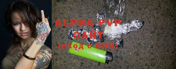 гидра Володарск